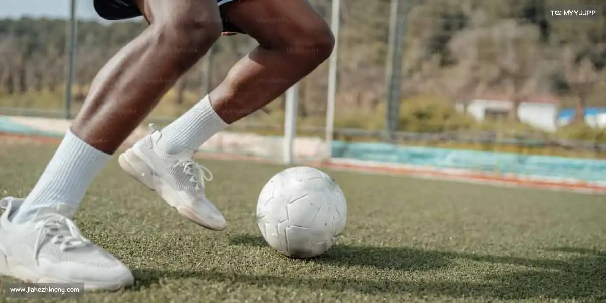 行业领先的理由